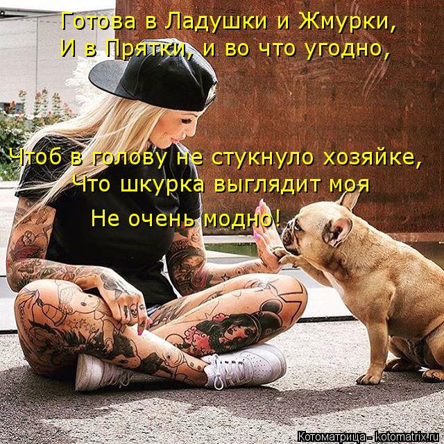 Готова в Ладушки и Жмурки, И в Прятки, и во что угодно, Чтоб в голову не стукнуло хозяйке, Что шкурка... Котоматрица: Готова в Ладушки и Жмурки, И в Прятки, и во что угодно, Чтоб в голову не стукнуло хозяйке, Что шкурка выглядит моя Не очень модно!