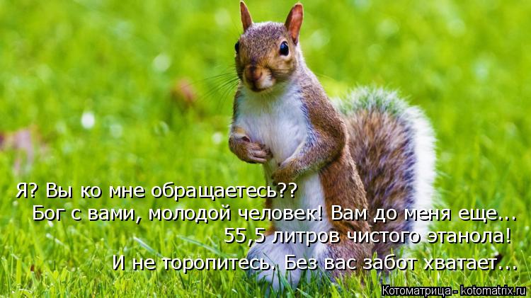 Я? Вы ко мне обращаетесь?? Бог с вами, молодой человек! Вам до меня еще... 55,5 литров чистого этано... Котоматрица: Я? Вы ко мне обращаетесь?? Бог с вами, молодой человек! Вам до меня еще... 55,5 литров чистого этанола! И не торопитесь. Без вас забот хватает...