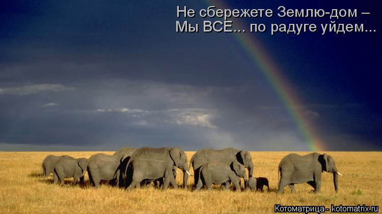 Не сбережете Землю-дом – Мы ВСЕ... по радуге уйдем...... Котоматрица: Не сбережете Землю-дом – Мы ВСЕ... по радуге уйдем...