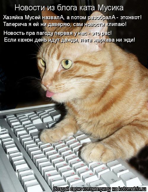Новости из блога ката Мусика Хазяйка Мусей назвалА, а потом разобралА - этожкот! Таперича я ей ни дав... Котоматрица: Новости из блога ката Мусика Хазяйка Мусей назвалА, а потом разобралА - этожкот! Таперича я ей ни даверяю, сам новости клипаю! Новость пра па