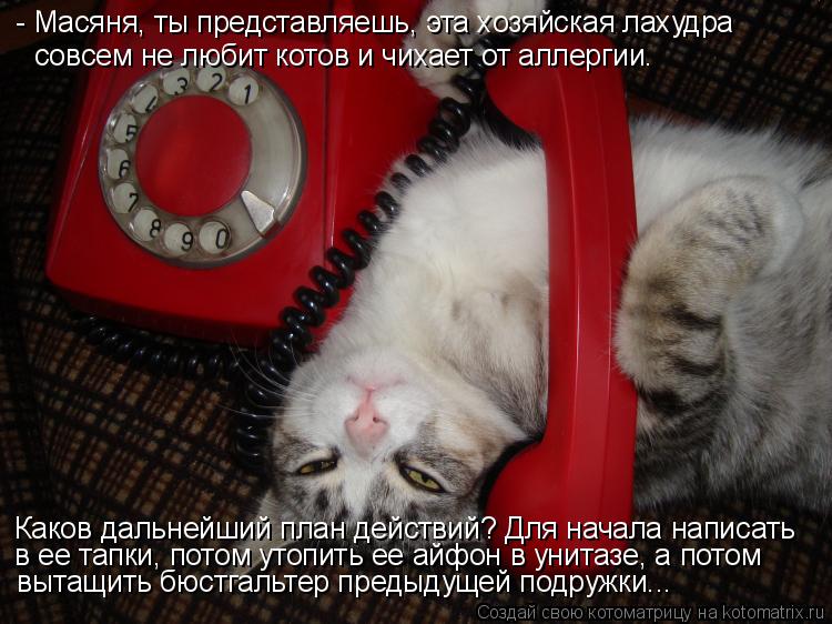 - Масяня, ты представляешь, эта хозяйская лахудра совсем не любит котов и чихает от аллергии. Каков д... Котоматрица: - Масяня, ты представляешь, эта хозяйская лахудра совсем не любит котов и чихает от аллергии. Каков дальнейший план действий? Для начала нап