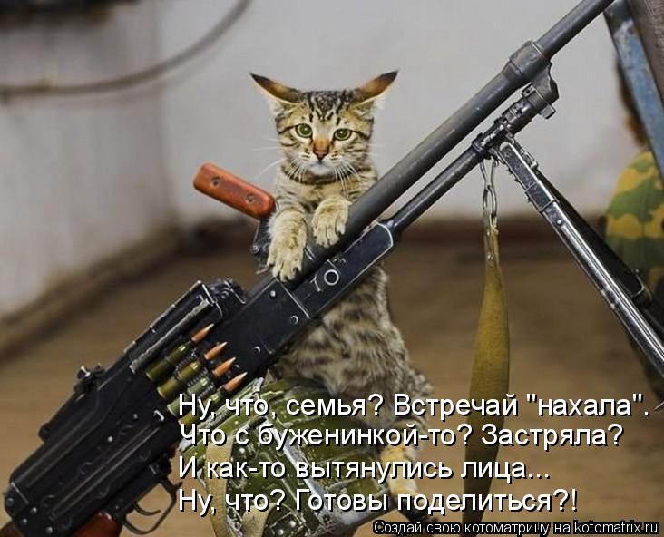Ну, что, семья? Встречай "нахала". Что с буженинкой-то? Застряла? И как-то вытянулись лица... Ну, что... Котоматрица: Ну, что, семья? Встречай "нахала". Что с буженинкой-то? Застряла? И как-то вытянулись лица... Ну, что? Готовы поделиться?!