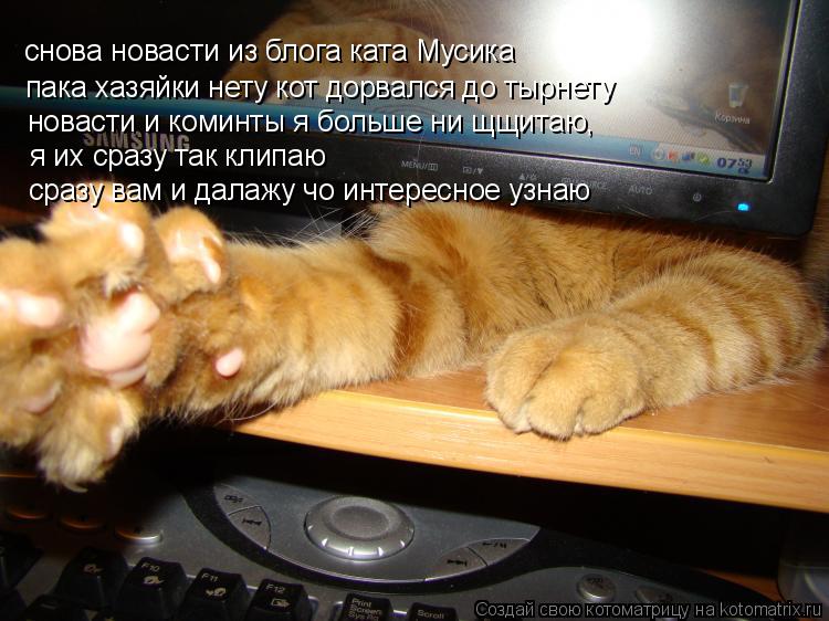 снова новасти из блога ката Мусика пака хазяйки нету кот дорвался до тырнету новасти и коминты я боль... Котоматрица: снова новасти из блога ката Мусика пака хазяйки нету кот дорвался до тырнету новасти и коминты я больше ни щщитаю, я их сразу так клипаю сра