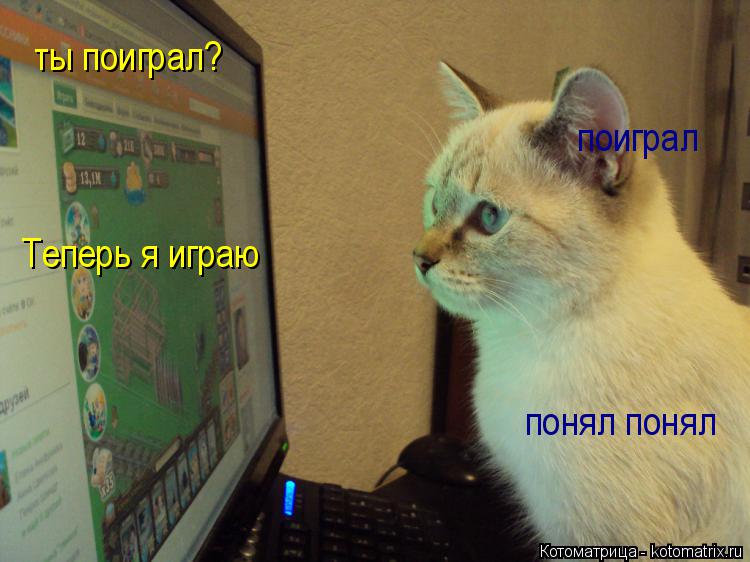 ты поиграл? поиграл Теперь я играю понял понял... Котоматрица: ты поиграл? поиграл Теперь я играю понял понял
