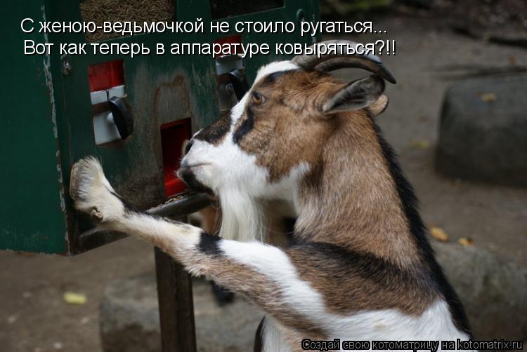 С женою-ведьмочкой не стоило ругаться... Вот как теперь в аппаратуре ковыряться?!!... Котоматрица: С женою-ведьмочкой не стоило ругаться... Вот как теперь в аппаратуре ковыряться?!!