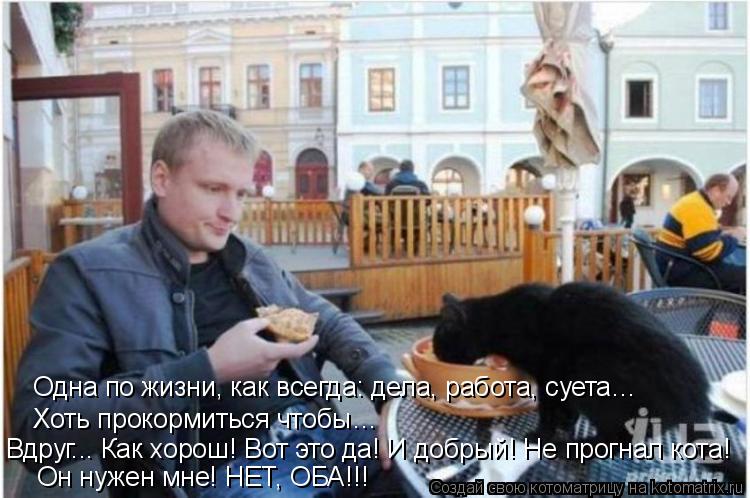 Одна по жизни, как всегда: дела, работа, суета… Хоть прокормиться чтобы… Вдруг... Как хорош! Вот это... Котоматрица: Одна по жизни, как всегда: дела, работа, суета… Хоть прокормиться чтобы… Вдруг... Как хорош! Вот это да! И добрый! Не прогнал кота! Он нужен мн