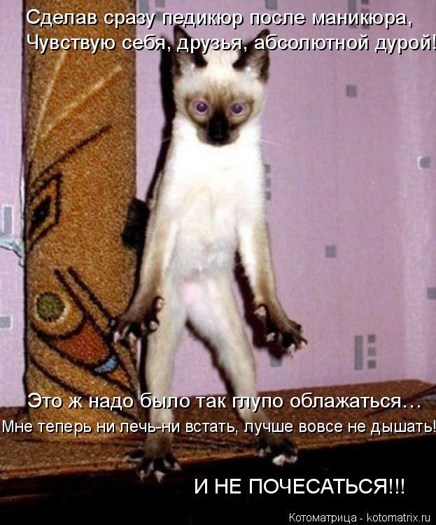 Сделав сразу педикюр после маникюра, Чувствую себя, друзья, абсолютной дурой! Это ж надо было так глу... Котоматрица: Сделав сразу педикюр после маникюра, Чувствую себя, друзья, абсолютной дурой! Это ж надо было так глупо облажаться… И НЕ ПОЧЕСАТЬСЯ!!! Мне те