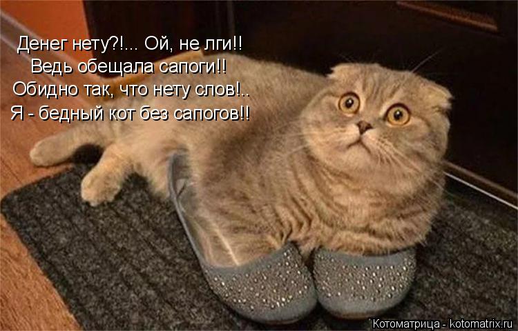 Денег нету?!... Ой, не лги!! Ведь обещала сапоги!! Обидно так, что нету слов!.. Я - бедный кот без са... Котоматрица: Денег нету?!... Ой, не лги!! Ведь обещала сапоги!! Обидно так, что нету слов!.. Я - бедный кот без сапогов!!