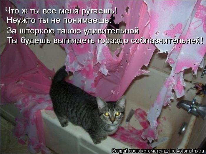 Что ж ты все меня ругаешь! Неужто ты не понимаешь: За шторкою такою удивительной Ты будешь выглядеть... Котоматрица: Что ж ты все меня ругаешь! Неужто ты не понимаешь: За шторкою такою удивительной Ты будешь выглядеть гораздо соблазнительней!