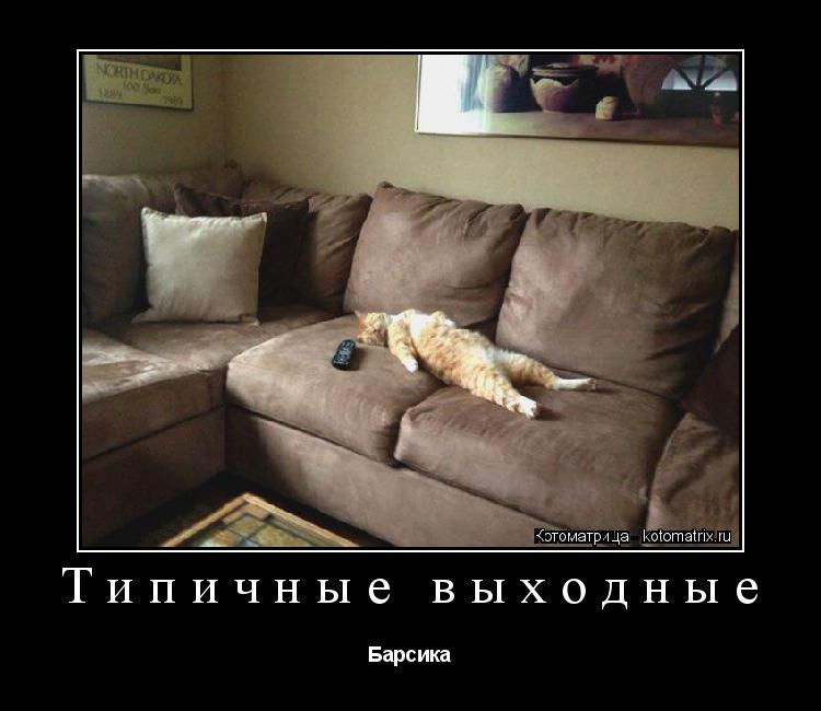 Типичные выходные Барсика... Котоматрица: Типичные выходные Барсика