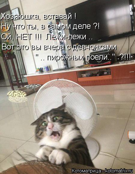 Хозяюшка, вставай ! Ну что ты, в самом деле ?! Ой, НЕТ !!! Лежи-лежи .. Вот это вы вчера с девчонка... Котоматрица: Хозяюшка, вставай ! Ну что ты, в самом деле ?! Ой, НЕТ !!! Лежи-лежи .. Вот это вы вчера с девчонками " .. пирожных поели.." ?!!!