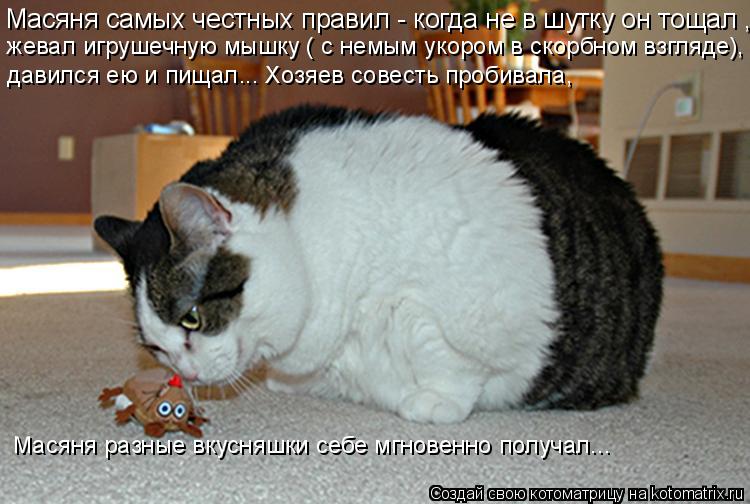 Масяня самых честных правил - когда не в шутку он тощал , жевал игрушечную мышку ( с немым укором в ... Котоматрица: Масяня самых честных правил - когда не в шутку он тощал , жевал игрушечную мышку ( с немым укором в скорбном взгляде), давился ею и пищал... Хо