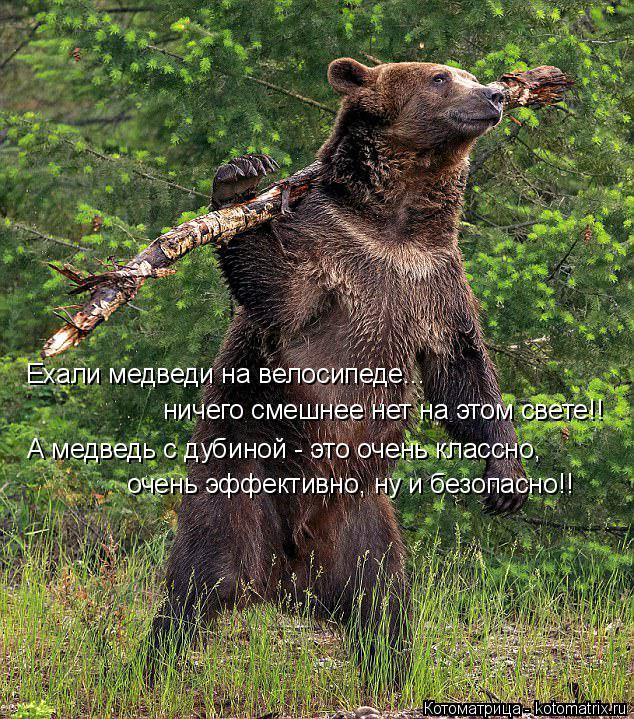 Ехали медведи на велосипеде... ничего смешнее нет на этом свете!! А медведь с дубиной - это очень кла... Котоматрица: Ехали медведи на велосипеде... ничего смешнее нет на этом свете!! А медведь с дубиной - это очень классно, очень эффективно, ну и безопасно!!