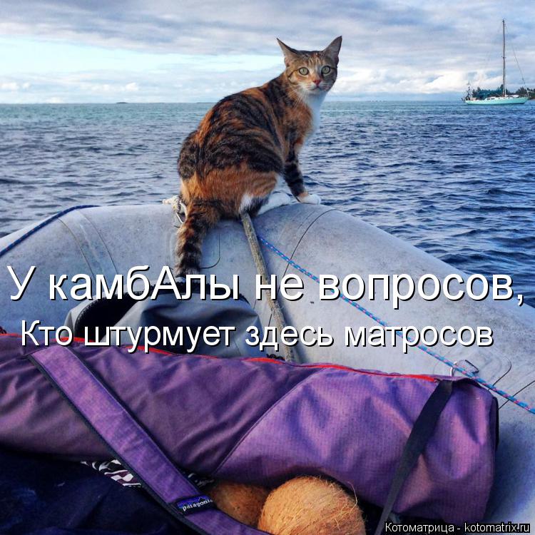У камбАлы не вопросов, Кто штурмует здесь матросов... Котоматрица: У камбАлы не вопросов, Кто штурмует здесь матросов