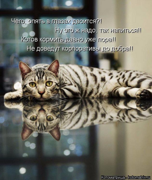 Чего, опять в глазах двоится?! Ну это ж надо, так напиться!! Котов кормить давно уже пора!! Не доведу... Котоматрица: Чего, опять в глазах двоится?! Ну это ж надо, так напиться!! Котов кормить давно уже пора!! Не доведут корпоративы до добра!!