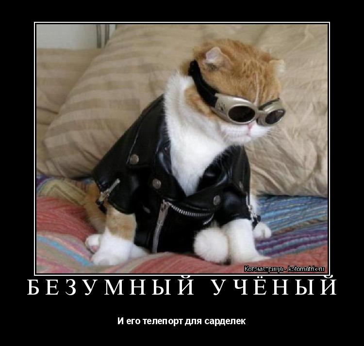 БЕЗУМНЫЙ УЧЁНЫЙ И его телепорт для сарделек... Котоматрица: БЕЗУМНЫЙ УЧЁНЫЙ И его телепорт для сарделек