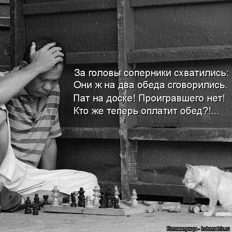 За головы соперники схватились: Они ж на два обеда сговорились. Пат на доске! Проигравшего нет! Кто ж... Котоматрица: За головы соперники схватились: Они ж на два обеда сговорились. Пат на доске! Проигравшего нет! Кто же теперь оплатит обед?!...