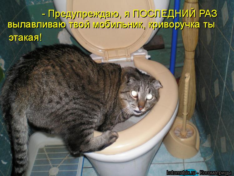 - Предупреждаю, я ПОСЛЕДНИЙ РАЗ вылавливаю твой мобильник, криворучка ты вылавливаю твой мобильник,... Котоматрица: - Предупреждаю, я ПОСЛЕДНИЙ РАЗ вылавливаю твой мобильник, криворучка ты вылавливаю твой мобильник, криворучка ты этакая!