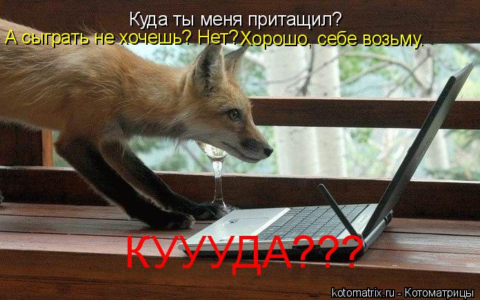 Куда ты меня притащил? А сыграть не хочешь? Нет? Хорошо, себе возьму. КУУУДА???... Котоматрица: Куда ты меня притащил? А сыграть не хочешь? Нет? Хорошо, себе возьму. КУУУДА???