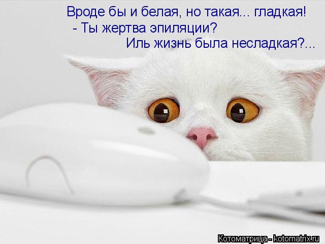 Вроде бы и белая, но такая... гладкая! - Ты жертва эпиляции? Иль жизнь была несладкая?...... Котоматрица: Вроде бы и белая, но такая... гладкая! - Ты жертва эпиляции? Иль жизнь была несладкая?...