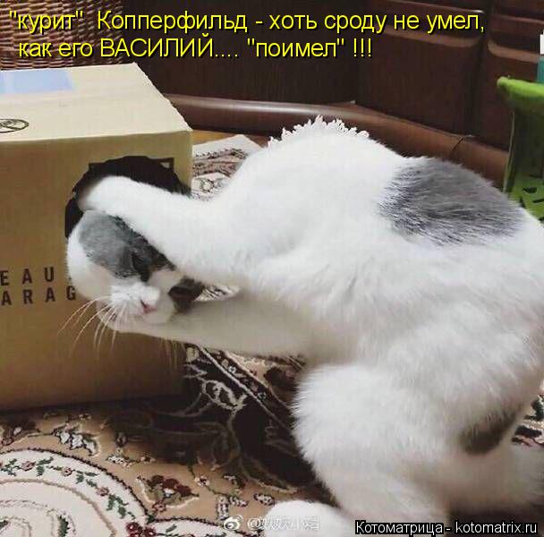 как его ВАСИЛИЙ.... "поимел" !!! "курит" Копперфильд - хоть сроду не умел,... Котоматрица: как его ВАСИЛИЙ.... "поимел" !!! "курит" Копперфильд - хоть сроду не умел,
