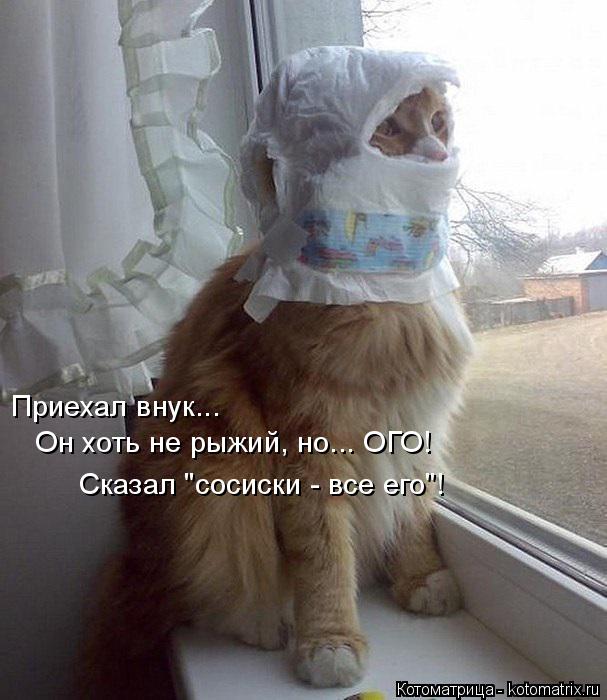 Приехал внук... Он хоть не рыжий, но... ОГО! Сказал "сосиски - все его"!... Котоматрица: Приехал внук... Он хоть не рыжий, но... ОГО! Сказал "сосиски - все его"!