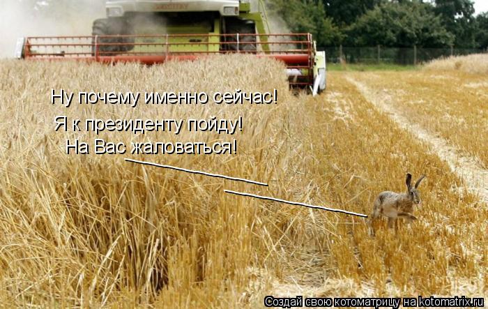 Ну почему именно сейчас! Я к президенту пойду! На Вас жаловаться! ______________ ______________... Котоматрица: Ну почему именно сейчас! Я к президенту пойду! На Вас жаловаться! ______________ ______________