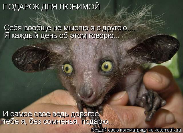 И самое свое ведь дорогое тебе я, без сомненья, подарю... Себя вообще не мыслю я с другою.... ПОДАРОК... Котоматрица: И самое свое ведь дорогое тебе я, без сомненья, подарю... Себя вообще не мыслю я с другою.... ПОДАРОК ДЛЯ ЛЮБИМОЙ Я каждый день об этом говорю...