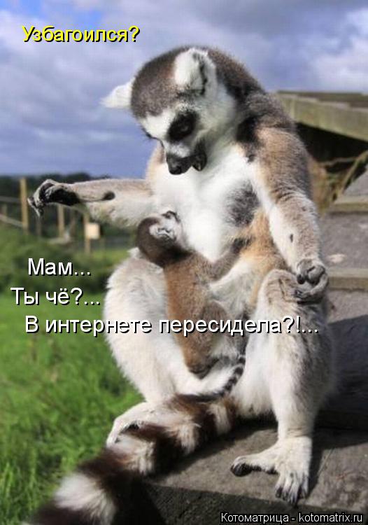 Узбагоился? Мам... Ты чё?... В интернете пересидела?!...... Котоматрица: Узбагоился? Мам... Ты чё?... В интернете пересидела?!...