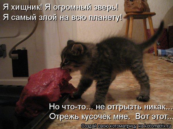 Я хищник! Я огромный зверь! Я самый злой на всю планету! Но что-то... не отгрызть никак... Отрежь кус... Котоматрица: Я хищник! Я огромный зверь! Я самый злой на всю планету! Но что-то... не отгрызть никак... Отрежь кусочек мне. Вот этот...