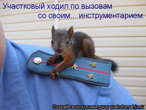 Участковый ходил по вызовам со своим... инструментарием.... Котоматрица: Участковый ходил по вызовам со своим... инструментарием.