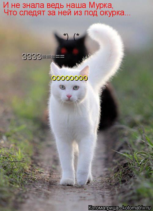 И не знала ведь наша Мурка, *) (* оооооооо Что следят за ней из под окурка... ЗЗЗЗ=====... Котоматрица: И не знала ведь наша Мурка, *) (* оооооооо Что следят за ней из под окурка... ЗЗЗЗ=====