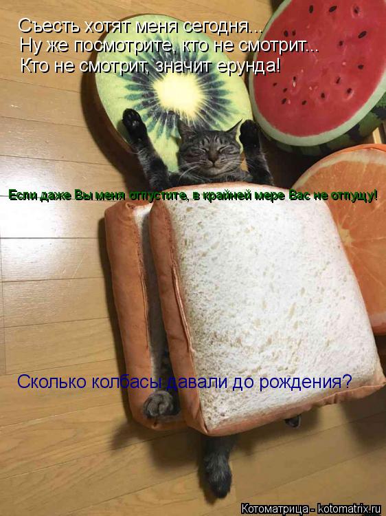 Съесть хотят меня сегодня... Ну же посмотрите, кто не смотрит... Кто не смотрит, значит ерунда! Сколь... Котоматрица: Съесть хотят меня сегодня... Ну же посмотрите, кто не смотрит... Кто не смотрит, значит ерунда! Сколько колбасы давали до рождения? Если даже В