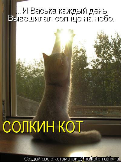 ...И Васька каждый день Вывешилал солнце на небо. СОЛКИН КОТ... Котоматрица: ...И Васька каждый день Вывешилал солнце на небо. СОЛКИН КОТ