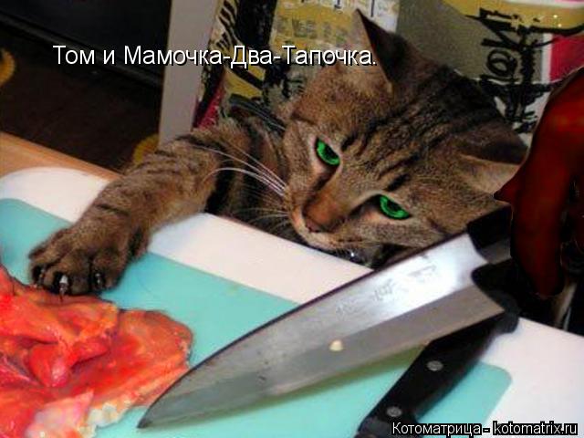 Том и Мамочка-Два-Тапочка.... Котоматрица: Том и Мамочка-Два-Тапочка.