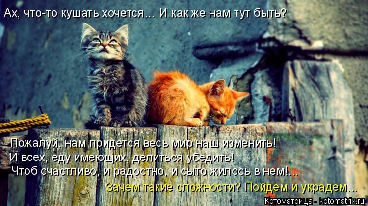 Ах, что-то кушать хочется… И как же нам тут быть? Пожалуй, нам придется весь мир наш изменить! И всех... Котоматрица: Ах, что-то кушать хочется… И как же нам тут быть? Пожалуй, нам придется весь мир наш изменить! И всех, еду имеющих, делиться убедить! Чтоб счас