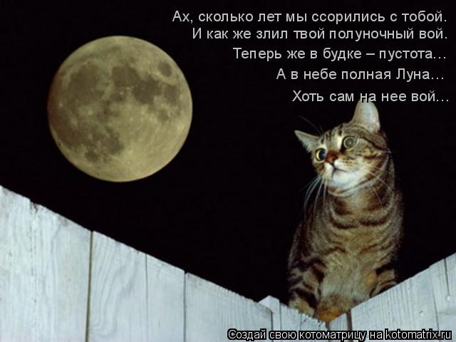 Ах, сколько лет мы ссорились с тобой. И как же злил твой полуночный вой. Теперь же в будке – пустота…... Котоматрица: Ах, сколько лет мы ссорились с тобой. И как же злил твой полуночный вой. Теперь же в будке – пустота… А в небе полная Луна… Хоть сам на нее в