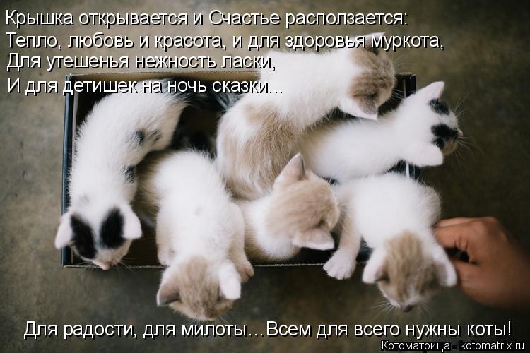 Крышка открывается и Счастье расползается: Тепло, любовь и красота, и для здоровья муркота, Для утеш... Котоматрица: Крышка открывается и Счастье расползается: Тепло, любовь и красота, и для здоровья муркота, Для утешенья нежность ласки, И для детишек на н