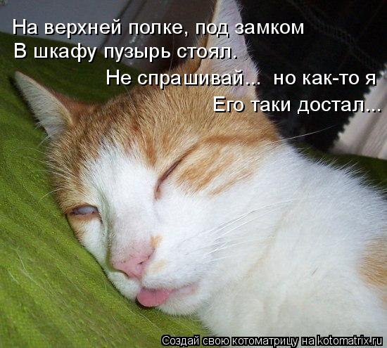 На верхней полке, под замком В шкафу пузырь стоял. Не спрашивай... но как-то я Его таки достал...... Котоматрица: На верхней полке, под замком В шкафу пузырь стоял. Не спрашивай... но как-то я Его таки достал...