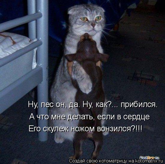 Ну, пес он, да. Ну, как?... прибился. А что мне делать, если в сердце Его скулеж ножом вонзился?!!!... Котоматрица: Ну, пес он, да. Ну, как?... прибился. А что мне делать, если в сердце Его скулеж ножом вонзился?!!!