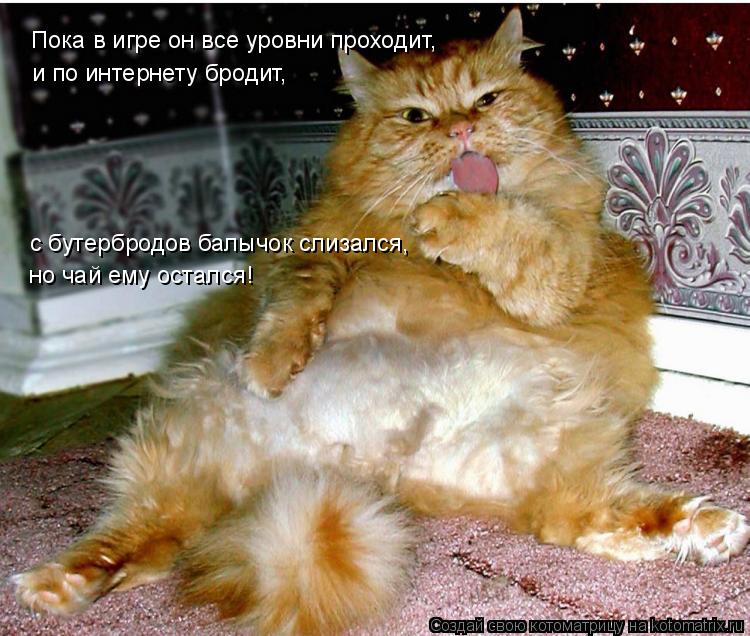 Пока в игре он все уровни проходит, и по интернету бродит, с бутербродов балычок слизался, но чай ем... Котоматрица: Пока в игре он все уровни проходит, и по интернету бродит, с бутербродов балычок слизался, но чай ему остался!