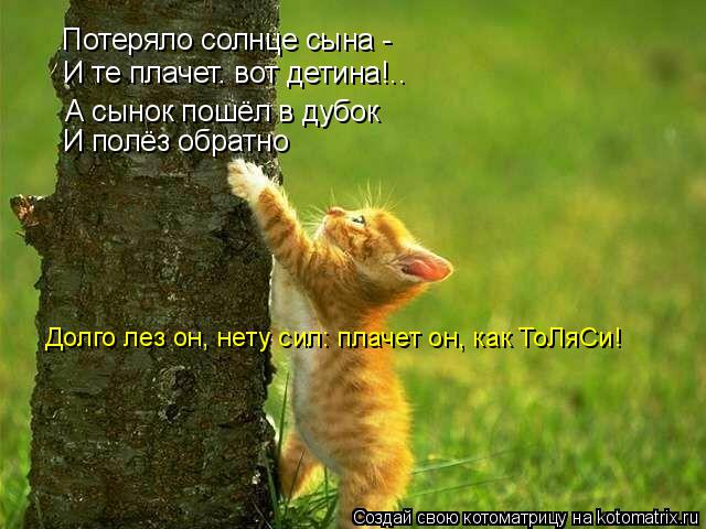 Потеряло солнце сына - И те плачет. вот детина!.. А сынок пошёл в дубок И полёз обратно Долго лез он... Котоматрица: Потеряло солнце сына - И те плачет. вот детина!.. А сынок пошёл в дубок И полёз обратно Долго лез он, нету сил: плачет он, как ТоЛяСи!