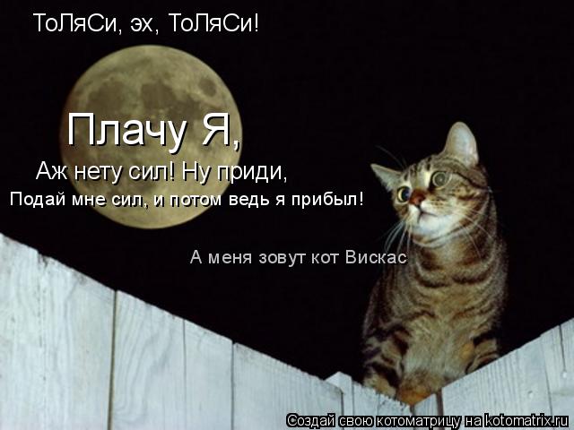ТоЛяСи, эх, ТоЛяСи! Плачу Я, Аж нету сил! Ну приди, Подай мне сил, и потом ведь я прибыл! А меня зо... Котоматрица: ТоЛяСи, эх, ТоЛяСи! Плачу Я, Аж нету сил! Ну приди, Подай мне сил, и потом ведь я прибыл! А меня зовут кот Вискас