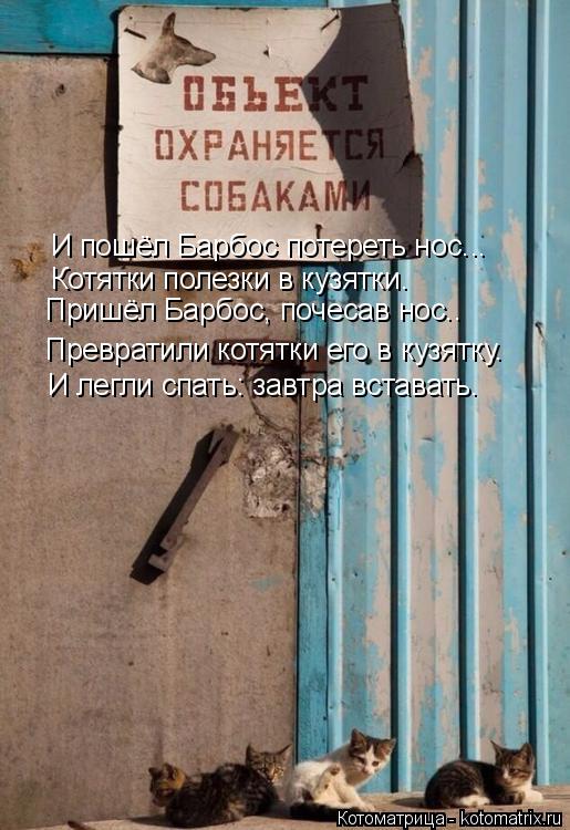 И пошёл Барбос потереть нос... Котятки полезки в кузятки. Пришёл Барбос, почесав нос.. Превратили кот... Котоматрица: И пошёл Барбос потереть нос... Котятки полезки в кузятки. Пришёл Барбос, почесав нос.. Превратили котятки его в кузятку. И легли спать: завтра