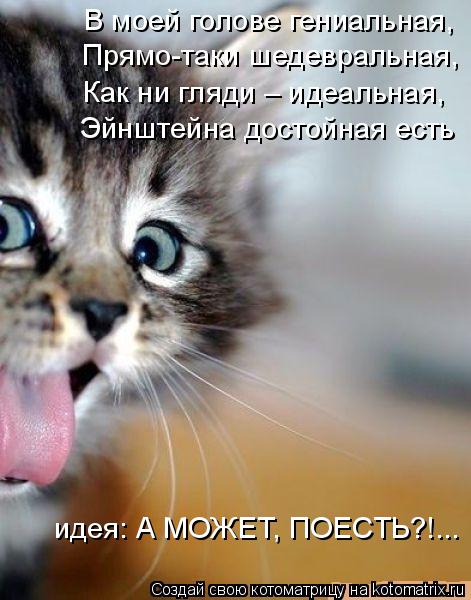 идея: А МОЖЕТ, ПОЕСТЬ?!... В моей голове гениальная, Прямо-таки шедевральная, Как ни гляди – идеаль... Котоматрица: идея: А МОЖЕТ, ПОЕСТЬ?!... В моей голове гениальная, Прямо-таки шедевральная, Как ни гляди – идеальная, Эйнштейна достойная есть
