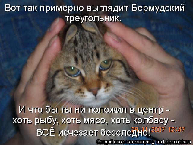 Вот так примерно выглядит Бермудский треугольник. И что бы ты ни положил в центр - хоть рыбу, хоть ... Котоматрица: Вот так примерно выглядит Бермудский треугольник. И что бы ты ни положил в центр - хоть рыбу, хоть мясо, хоть колбасу - ВСЁ исчезает бесследн