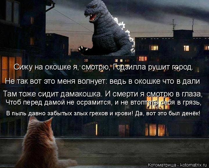 Сижу на окошке я, смотрю, Годзилла рушит город. Не так вот это меня волнует: ведь в окошке что в дали... Котоматрица: Сижу на окошке я, смотрю, Годзилла рушит город. Не так вот это меня волнует: ведь в окошке что в дали Там тоже сидит дамакошка. И смерти я смот