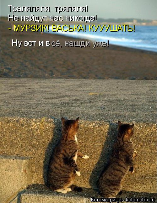 Траляляля, тряляля! Не найдут нас никогда! - МУРЗИК! ВАСЬКА! КУУУШАТЬ! Ну вот и в сё, нашди уже!... Котоматрица: Траляляля, тряляля! Не найдут нас никогда! - МУРЗИК! ВАСЬКА! КУУУШАТЬ! Ну вот и в сё, нашди уже!