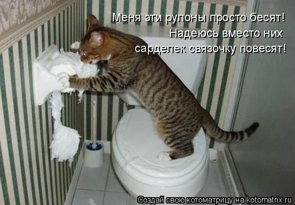 Меня эти рулоны просто бесят! Надеюсь вместо них сарделек связочку повесят!... Котоматрица: Меня эти рулоны просто бесят! Надеюсь вместо них сарделек связочку повесят!