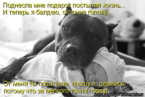 потому что за мелкого точно порву! От меня ты подальше, прошу я, держись, Поднесла мне подарок посты... Котоматрица: потому что за мелкого точно порву! От меня ты подальше, прошу я, держись, Поднесла мне подарок постылая жизнь... И теперь я балдею, склонив го